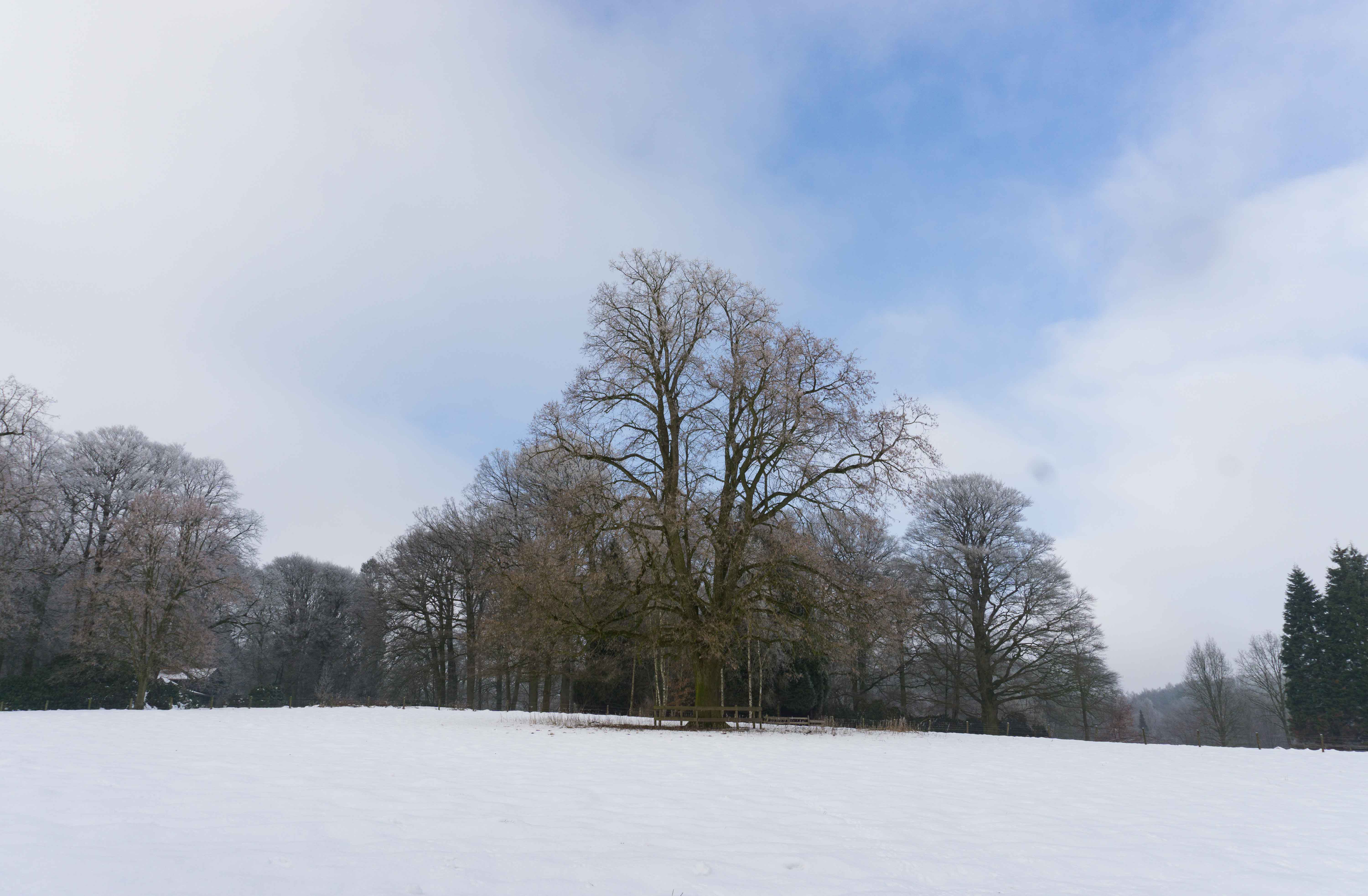 sneeuwpret-205